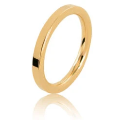 Alliance Bastille En Or Jaune Large De 2 Mm Enchantée-BASTILLE2J