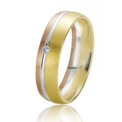 Alliance Rainbow 5.5 Mm 5.5 Mm Platine 950 Diamant - Neptune - 06205PT