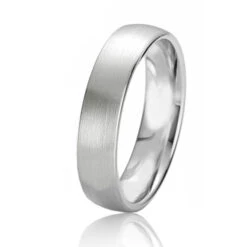 Alliance Rainbow 5 Mm 5 Mm Platine 950 - Aurianna - 06220PT