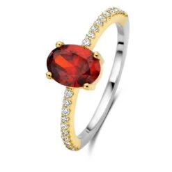 Bague Argent Et Plaqué Or Zirconium Rouge Et Balnc Naiomy Silver - Femme - Lara - N3U66