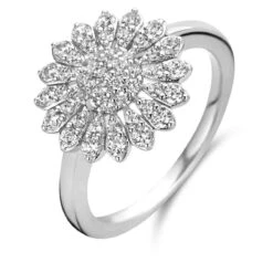 Bague En Argent Sertie De Zirconium Naiomy Silver Silver - Femme - Lina - N2M58