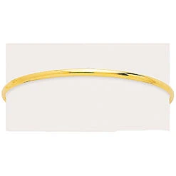 Bracelet Jonc Fil Ovale Massif 2,2mm Daphnée - 359.27