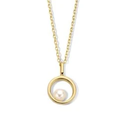 Chaîne Et Pendentif Argent Plaqué Or Avec Perle - Naiomy Silver - Femme - Esha - N3Z53