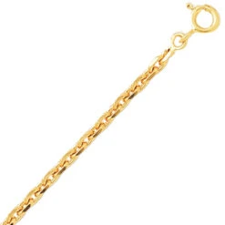 Chaîne Or Maille Forçat 9.55g F80-Darjeeling