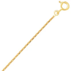 Chaîne Or Maille Forçat 9 Carats 1.4g 9KF35-Rêveuse