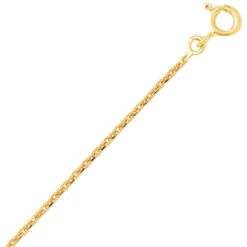 Chaîne Or Maille Forçat 9 Carats 1.9g 9KF40-Étincelante
