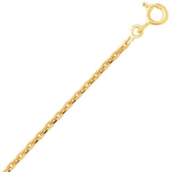 Chaîne Or Maille Forçat 9 Carats 3.2g 9KF55-Lurilla
