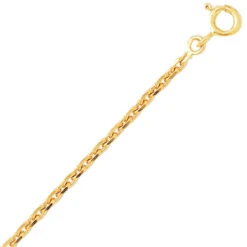 Chaîne Or Maille Forçat 9 Carats 5.3g 9KF70-Mayla