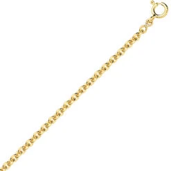 Chaîne Or Maille Forçat Ronde 1.3g -FR24-Laélia