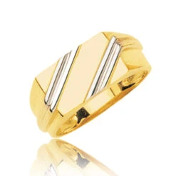 Chevalière 2 Ors Or 18 Ct - 750/1000 - 6.54 G - Mathilde - 5939G