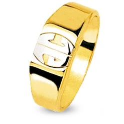 Chevalière 2 Ors Or 18 Ct - 750/1000 - 6.98 G - Avera - 5046M