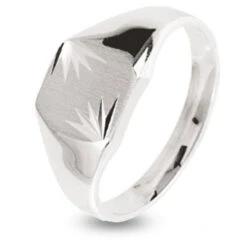 Chevalière En Argent 925 - 3.3 G - Ecume- 337594