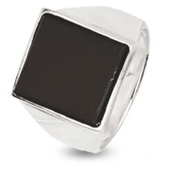 Chevalière En Argent 925 - 9.7 G - Meredith- 337564