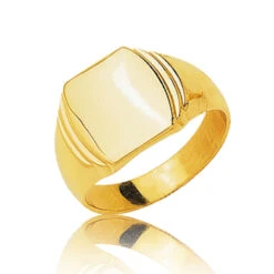 Chevalière Or Jaune Or 18 Ct - 750/1000 - 9.9 G - Katya - 11034