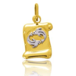 Médaille Zodiac Poissons 2 Ors Erica