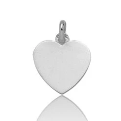 Pendentif Or Jaune Coeur Or Blanc - -Solèna - 9K631.1G
